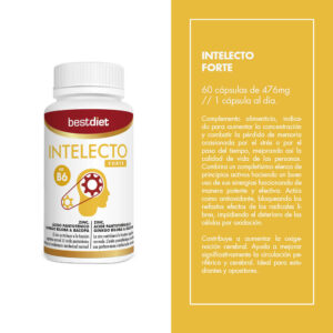 CÁPSULAS INTELECTO FORTE - Imagen 5