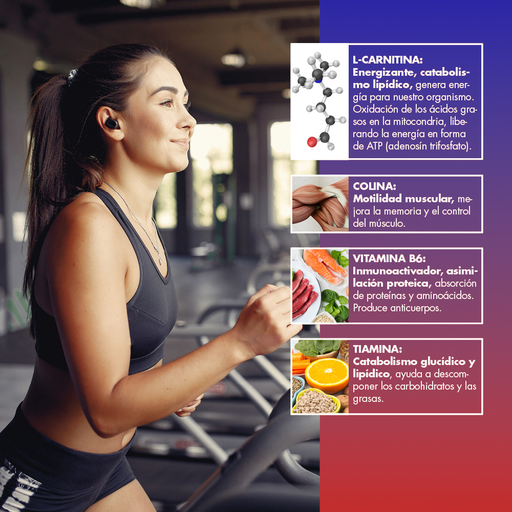 Stick de L-Carnitina líquida maxi