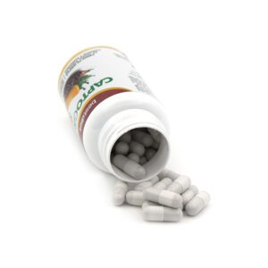 CAPTOGRAS BEST DIET CAPSULES