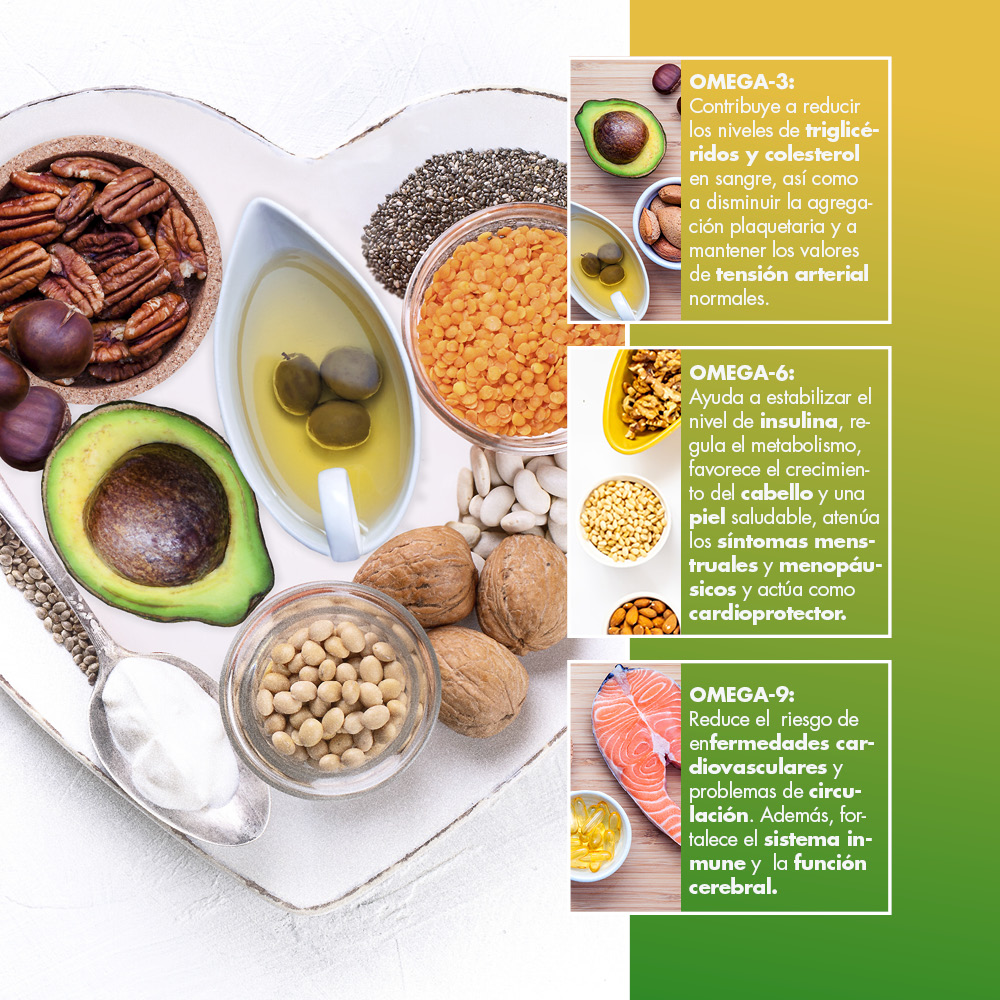 Pack Focus - Imagen 3