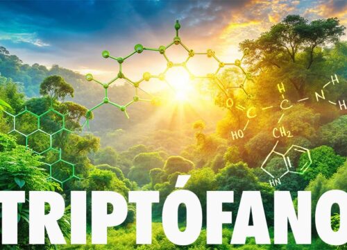 ¿QUÉ ES EL TRIPTÓFANO