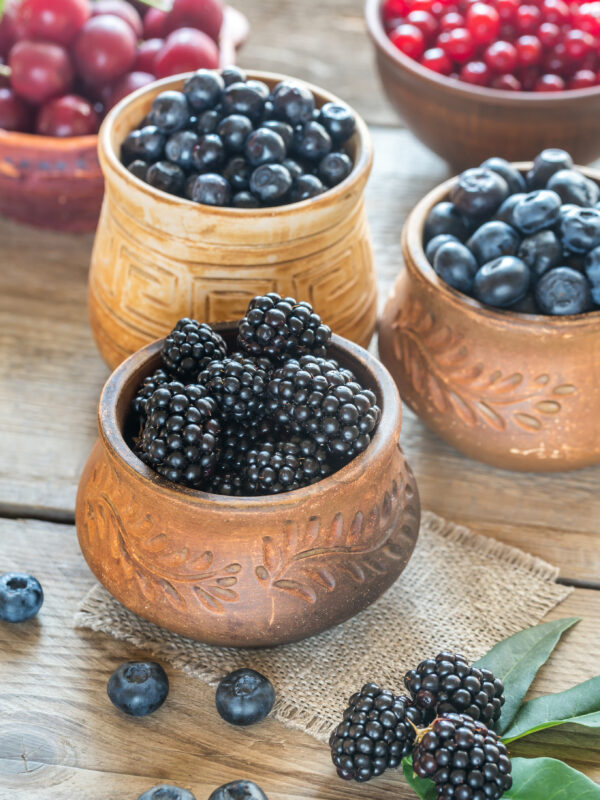 BOWL FRUTOS ROJOS BEST DIET COLAGENO